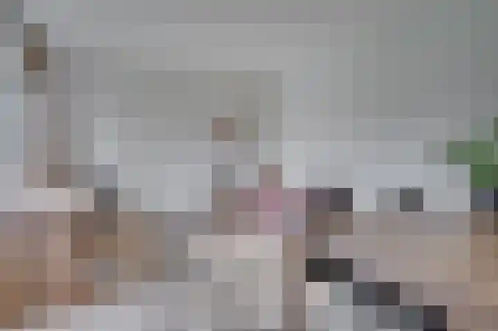 Prinses Beatrixstraat 1 A Stramproy thumbnail 25