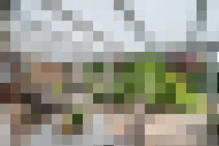 Prinses Beatrixstraat 1 A Stramproy thumbnail 63