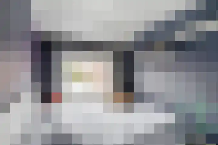 Prinses Beatrixstraat 1 Stellendam thumbnail 39