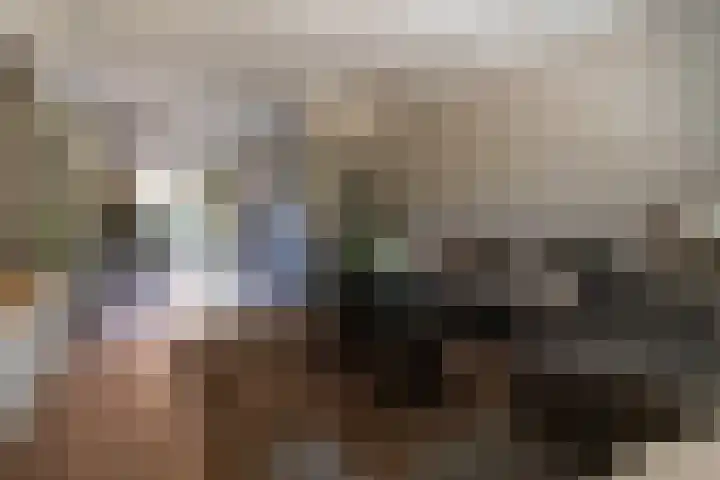 Prinses Beatrixstraat 10 Baarlo thumbnail 11