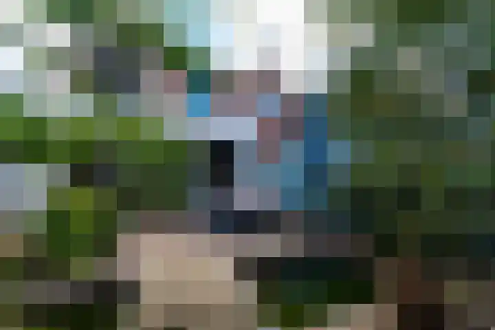 Prinses Beatrixstraat 10 Baarlo thumbnail 17