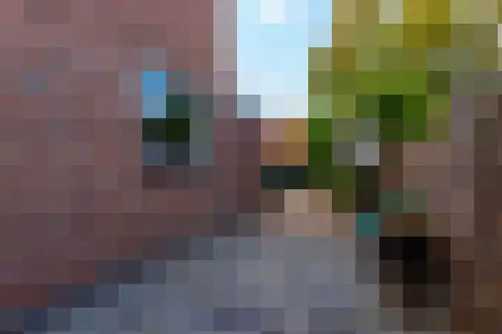 Prinses Beatrixstraat 10 Baarlo thumbnail 20