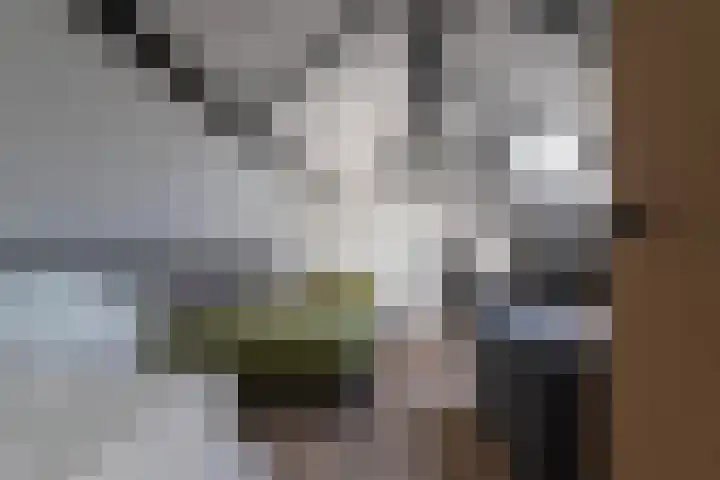 Prinses Beatrixstraat 10 Baarlo thumbnail 30