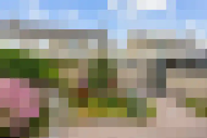 Prinses Beatrixstraat 11 Franeker thumbnail 28