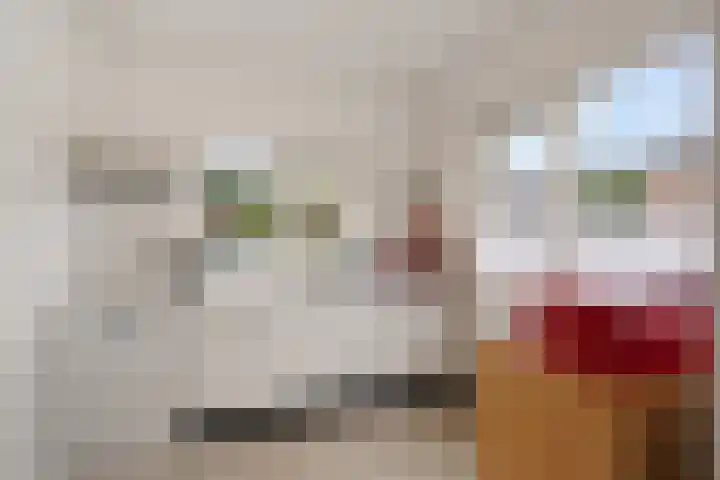 Prinses Beatrixstraat 12 Vledder thumbnail 10