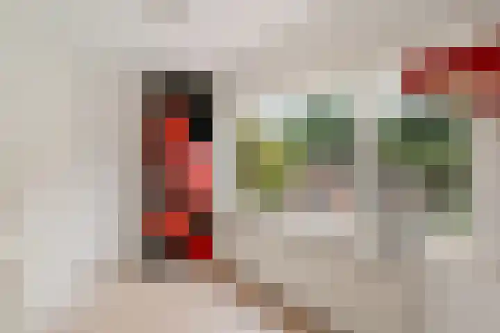 Prinses Beatrixstraat 12 Vledder thumbnail 14