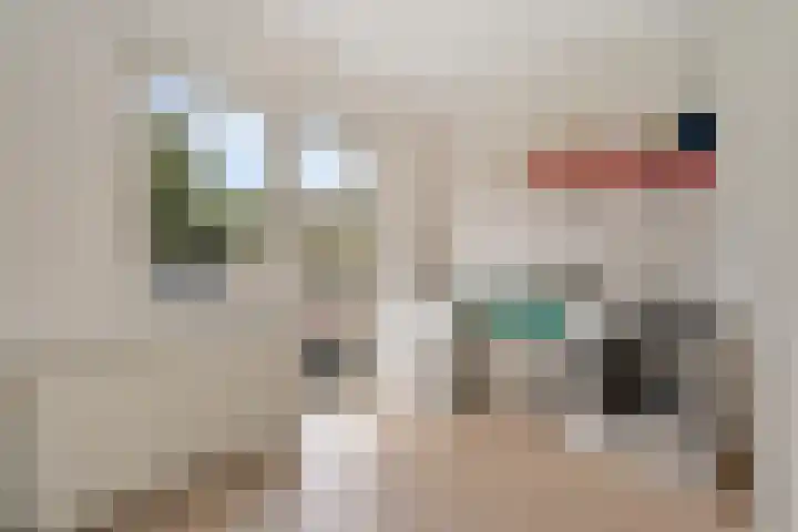 Prinses Beatrixstraat 12 Vledder thumbnail 17
