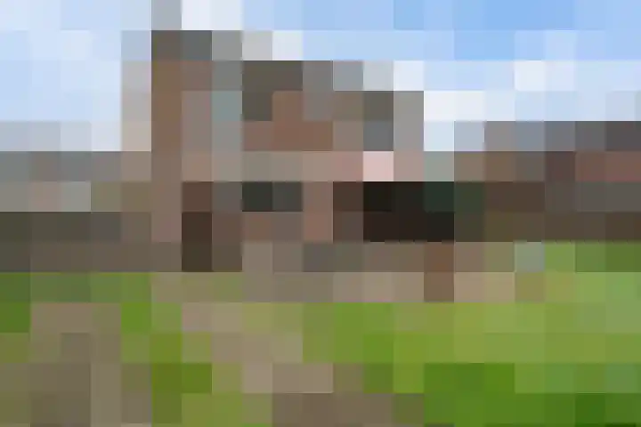 Prinses Beatrixstraat 12 Vledder thumbnail 24