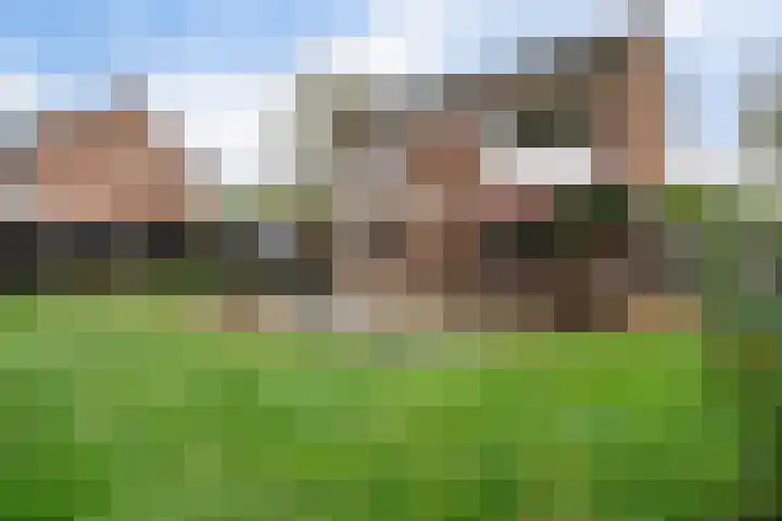 Prinses Beatrixstraat 12 Vledder thumbnail 25