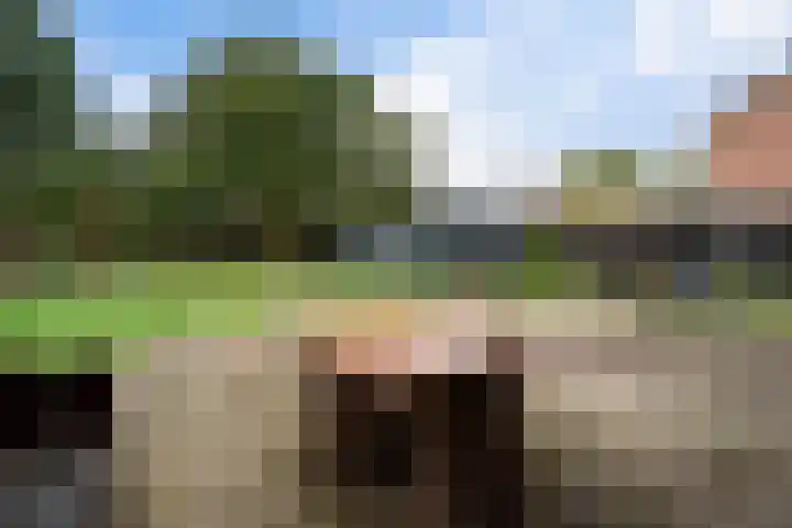 Prinses Beatrixstraat 12 Vledder thumbnail 28