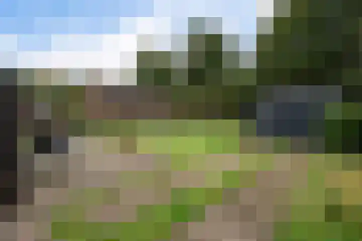 Prinses Beatrixstraat 12 Vledder thumbnail 30