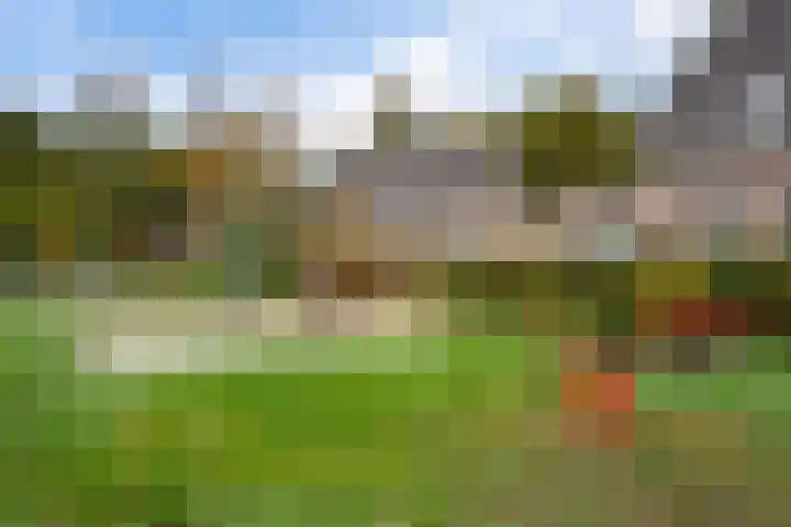 Prinses Beatrixstraat 12 Vledder thumbnail 39