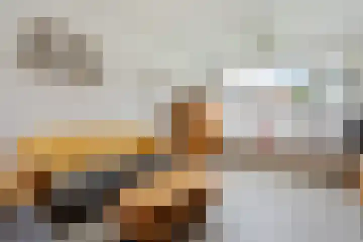 Prinses Beatrixstraat 12 Vledder thumbnail 5