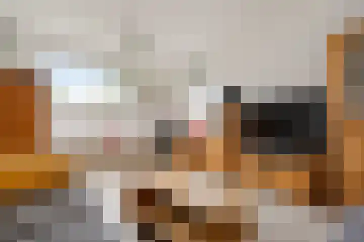 Prinses Beatrixstraat 12 Vledder thumbnail 6