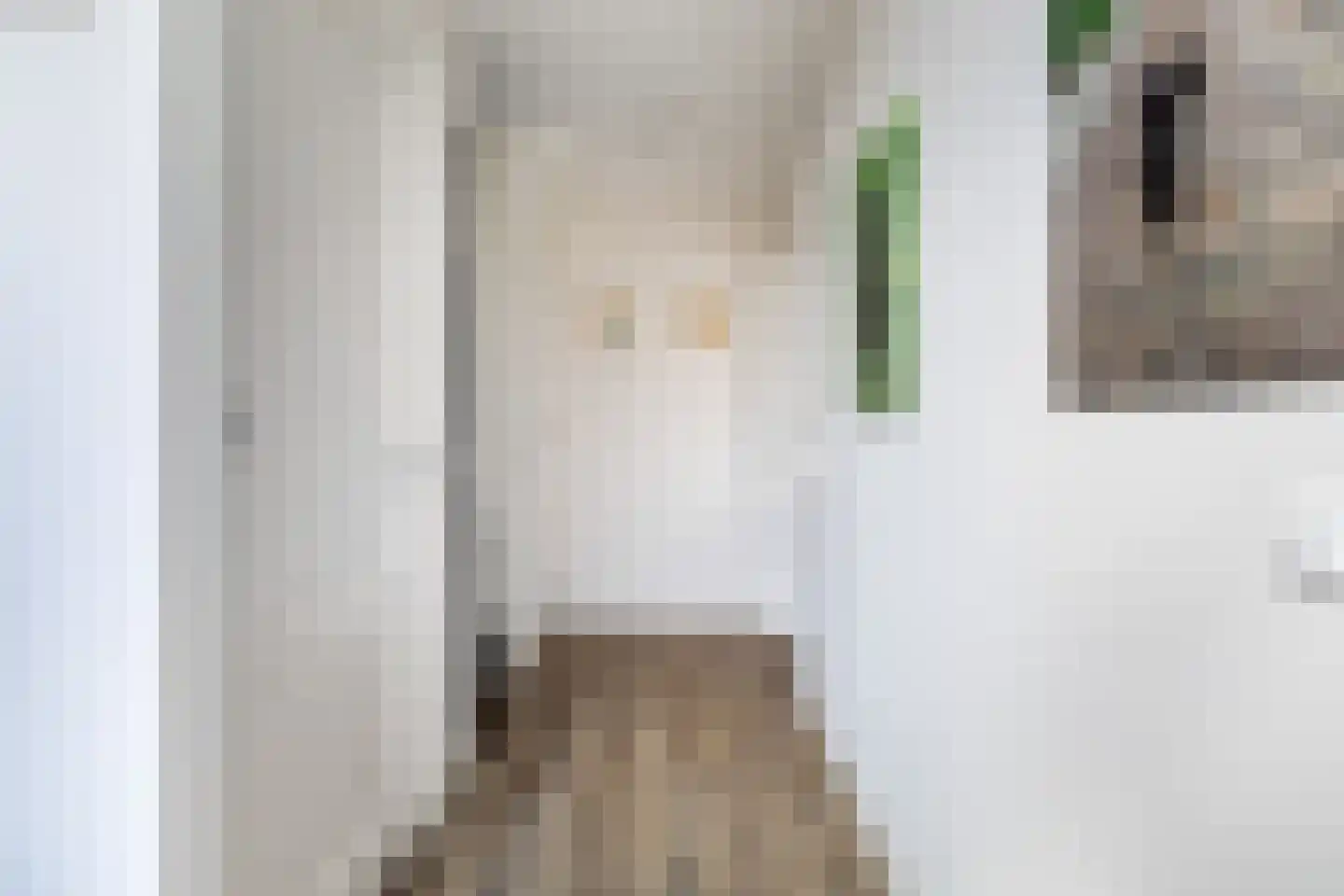 Prinses Beatrixstraat 12 Zegveld thumbnail 4