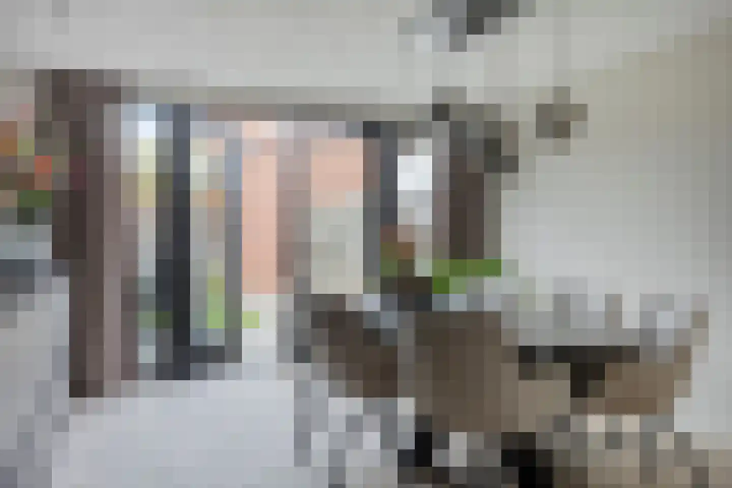 Prinses Beatrixstraat 13 Baarlo thumbnail 18