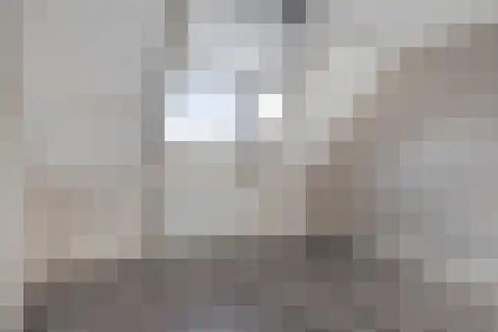 Prinses Beatrixstraat 13 Dinteloord thumbnail 10