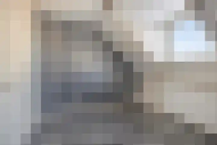 Prinses Beatrixstraat 13 Dinteloord thumbnail 12
