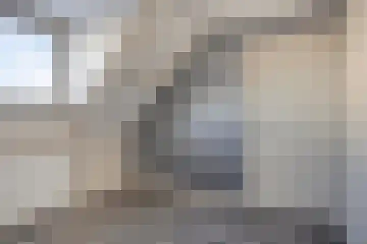 Prinses Beatrixstraat 13 Dinteloord thumbnail 13