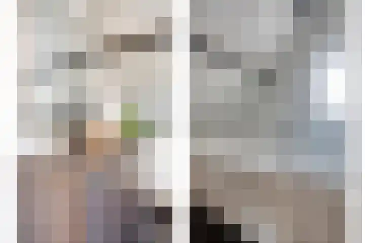 Prinses Beatrixstraat 13 Dinteloord thumbnail 17