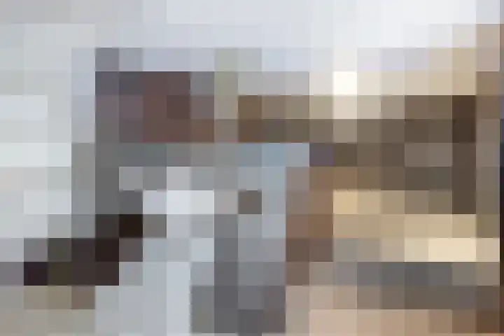 Prinses Beatrixstraat 13 Dinteloord thumbnail 27