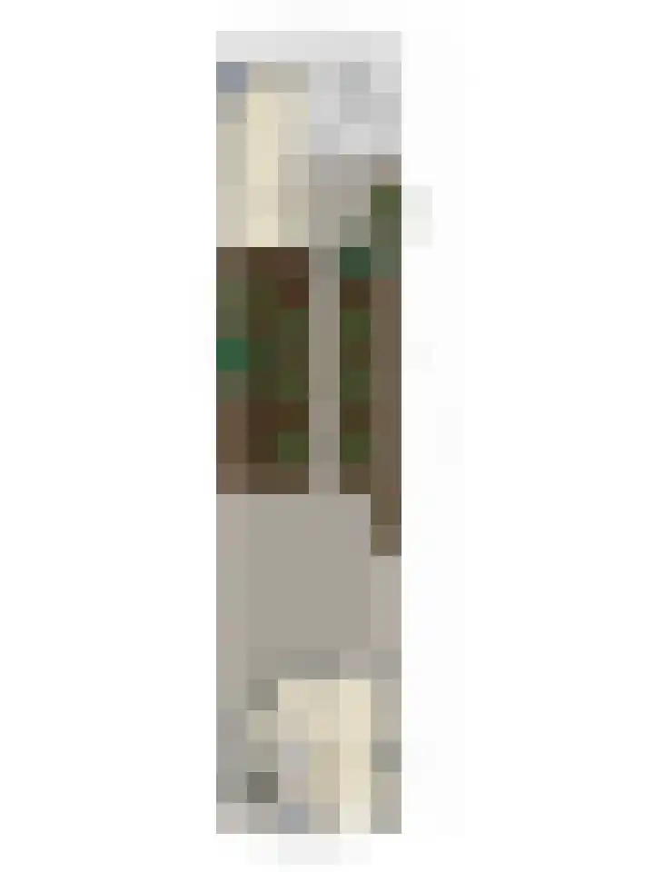 Prinses Beatrixstraat 13 Dinteloord thumbnail 32