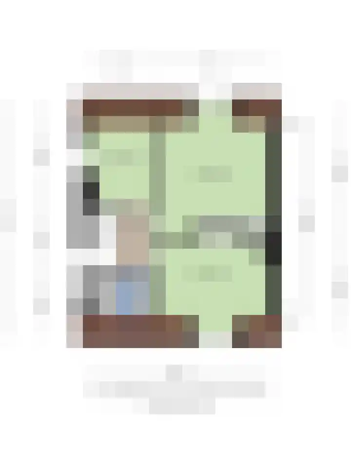 Prinses Beatrixstraat 13 Dinteloord thumbnail 35