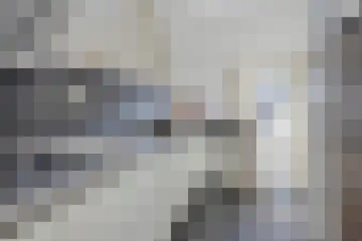 Prinses Beatrixstraat 13 Dinteloord thumbnail 8