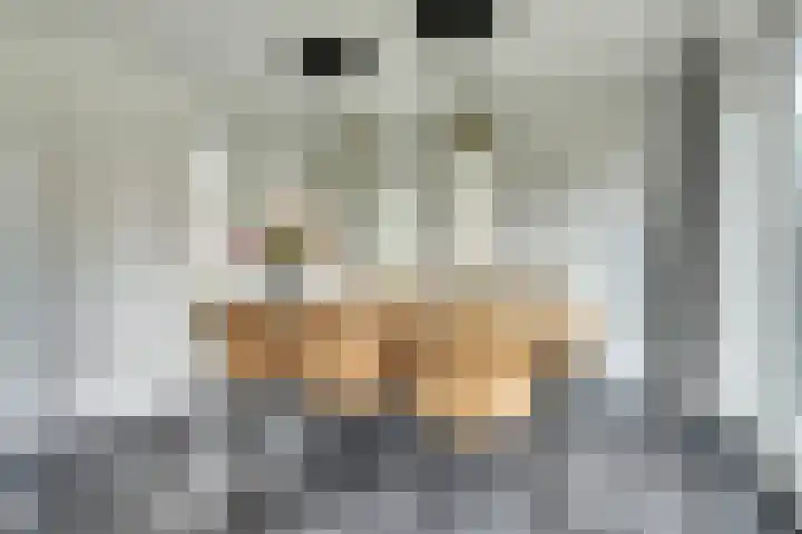 Prinses Beatrixstraat 13 Moergestel thumbnail 15