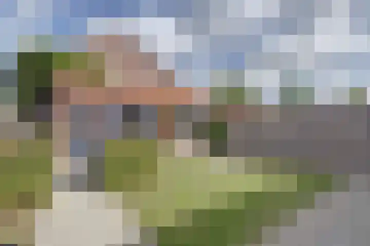 Prinses Beatrixstraat 13 Moergestel thumbnail 37