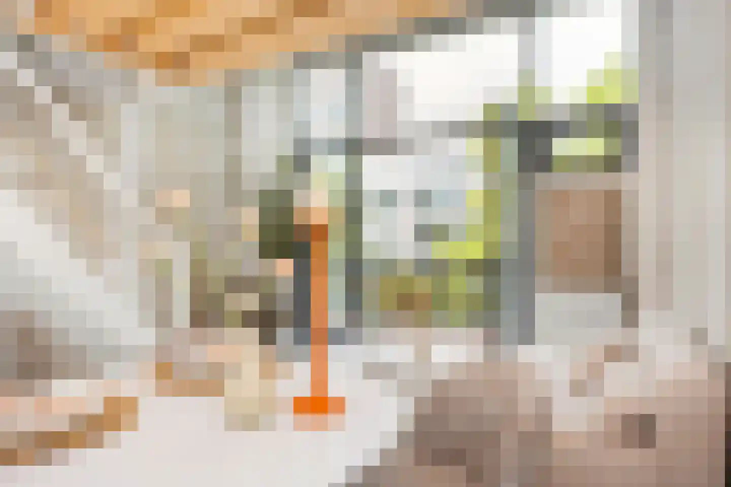 Prinses Beatrixstraat 136 Hengelo thumbnail 13