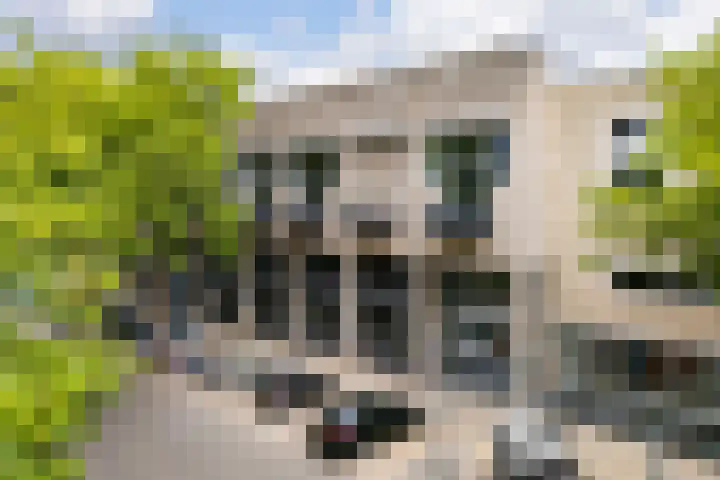 Prinses Beatrixstraat 136 Hengelo thumbnail 31