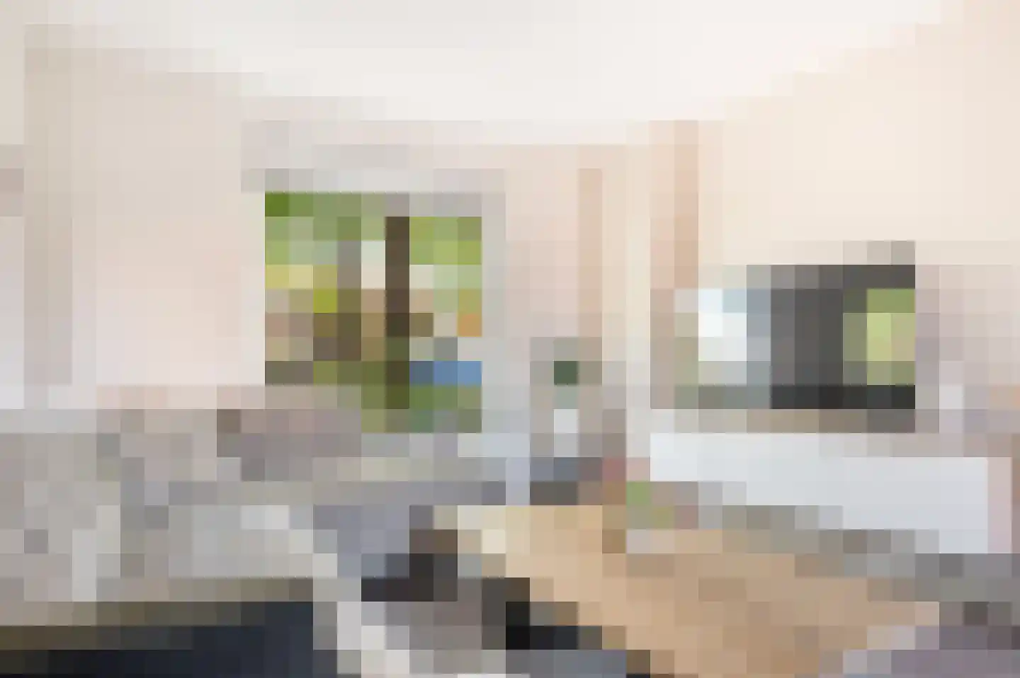 Prinses Beatrixstraat 14 Markelo thumbnail 9