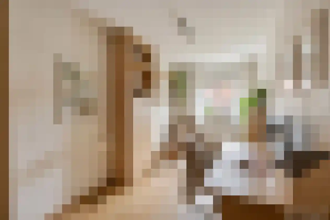 Prinses Beatrixstraat 14 Venlo thumbnail 18