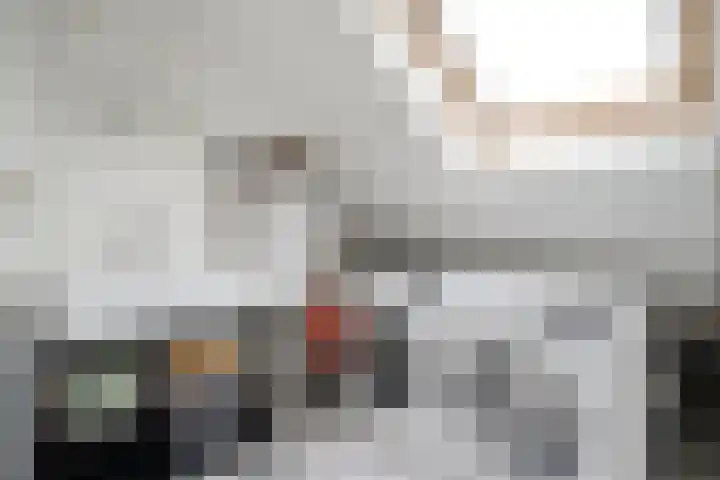 Prinses Beatrixstraat 14 Zwolle thumbnail 30