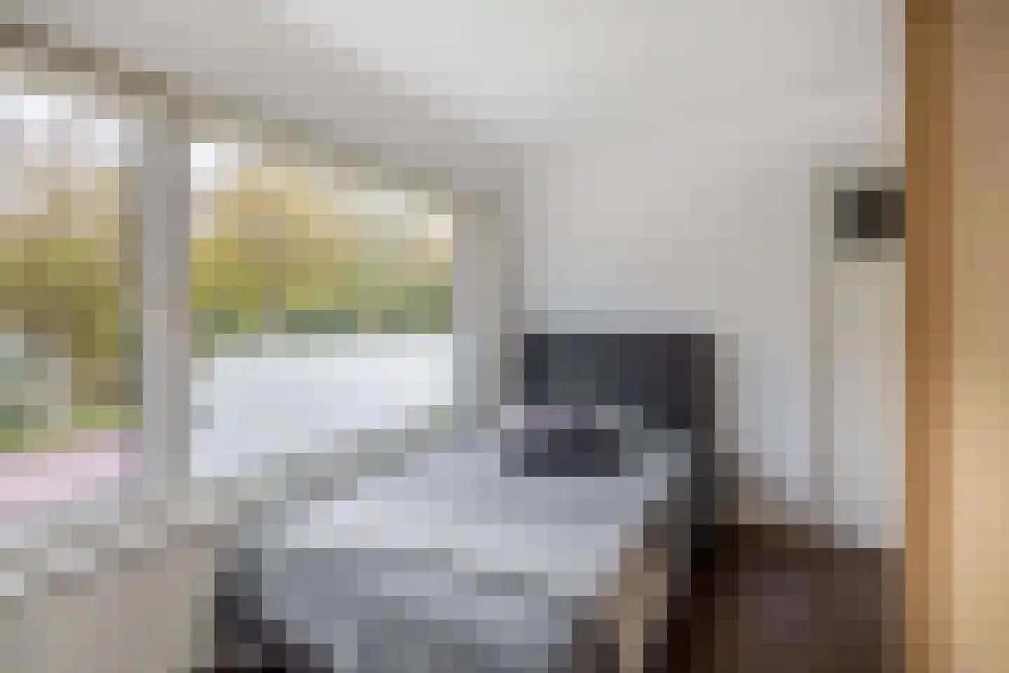 Prinses Beatrixstraat 15 Fijnaart thumbnail 37