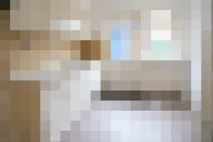 Prinses Beatrixstraat 15 Schoonrewoerd thumbnail 4