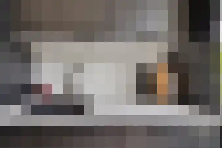 Prinses Beatrixstraat 16 Benthuizen thumbnail 11