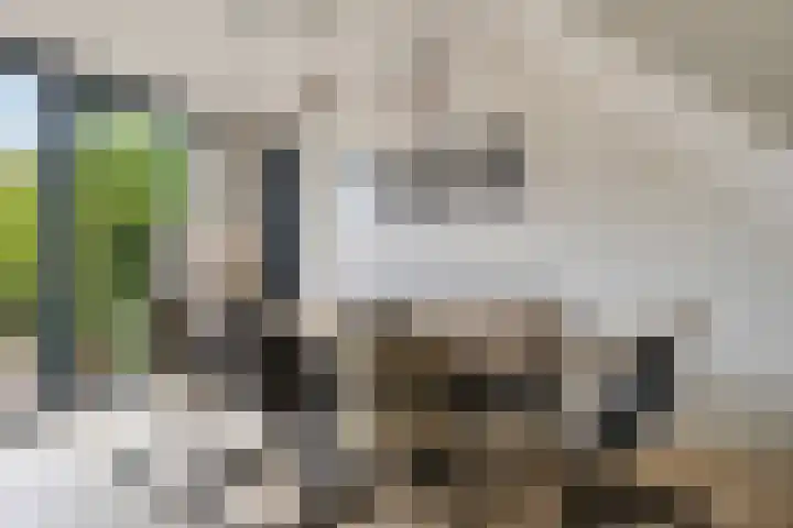 Prinses Beatrixstraat 16 Benthuizen thumbnail 14