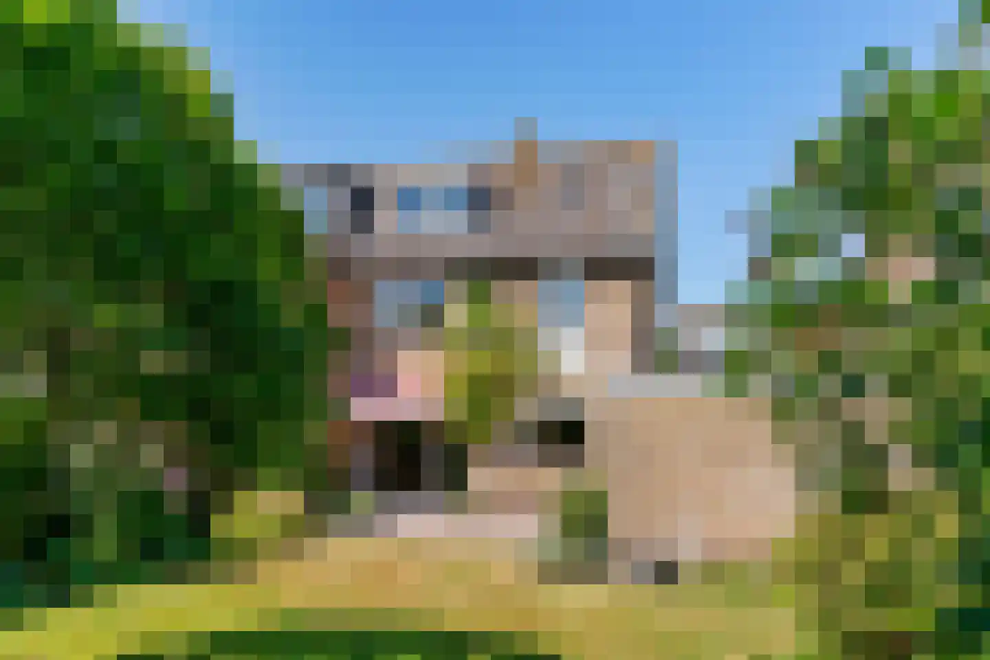 Prinses Beatrixstraat 17 Baambrugge thumbnail 31