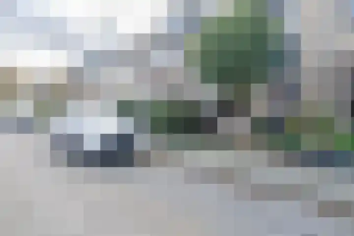 Prinses Beatrixstraat 18 Benthuizen thumbnail 22