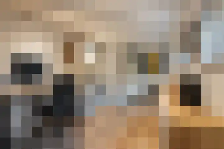 Prinses Beatrixstraat 18 Markelo thumbnail 15