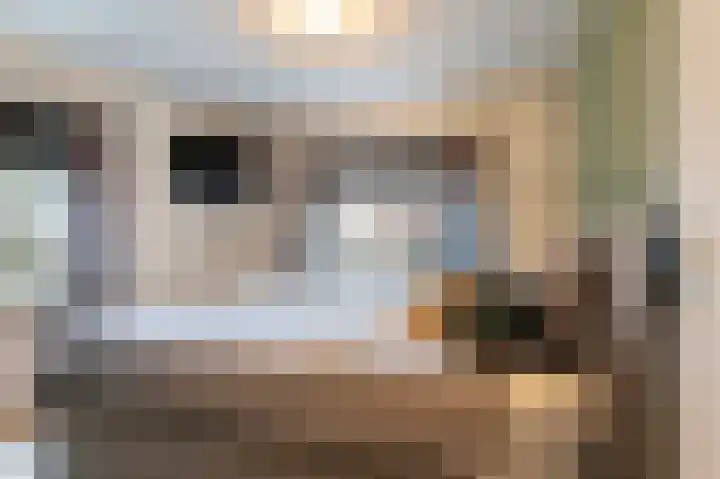 Prinses Beatrixstraat 18 Markelo thumbnail 21