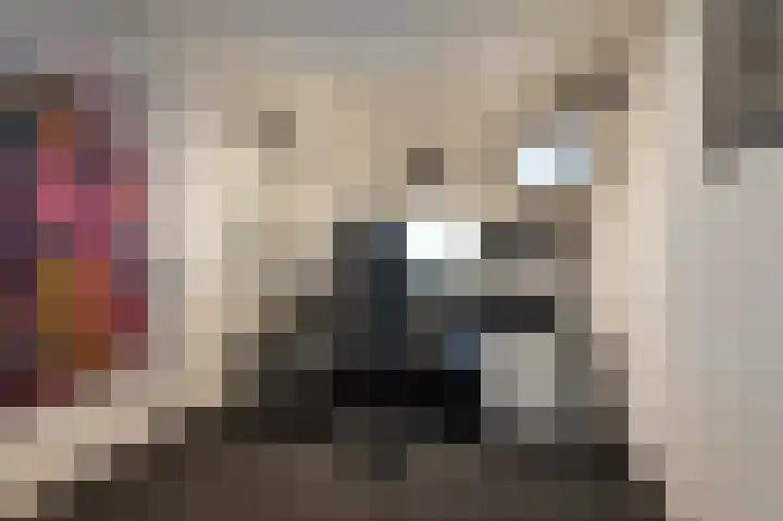 Prinses Beatrixstraat 18 Markelo thumbnail 27