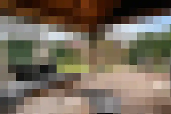 Prinses Beatrixstraat 18 Markelo thumbnail 33