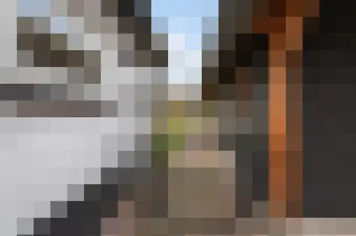 Prinses Beatrixstraat 18 Markelo thumbnail 36