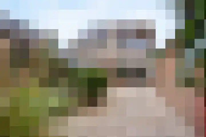 Prinses Beatrixstraat 18 Nieuwerkerk aan den IJssel thumbnail 4