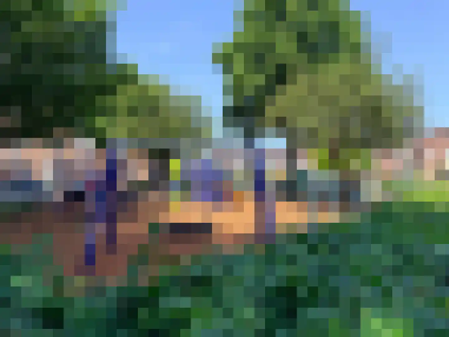 Prinses Beatrixstraat 19 Genemuiden thumbnail 9