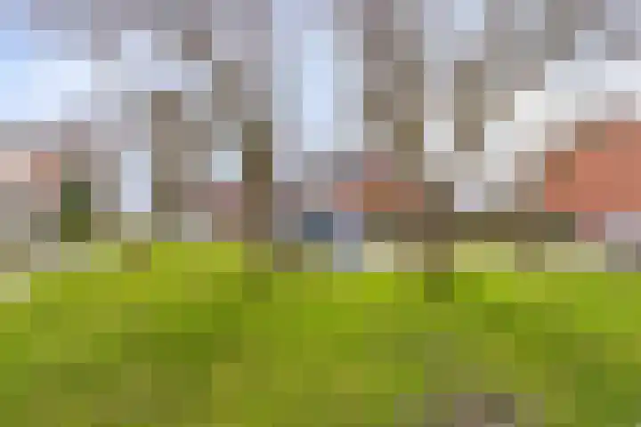 Prinses Beatrixstraat 21 Arnemuiden thumbnail 63