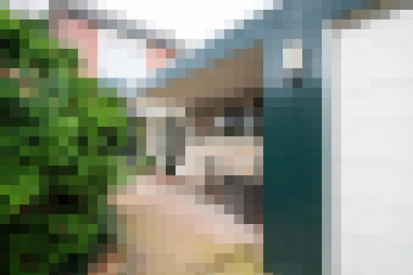 Prinses Beatrixstraat 21 b Markelo thumbnail 20